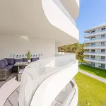 Pearl Grace Bay