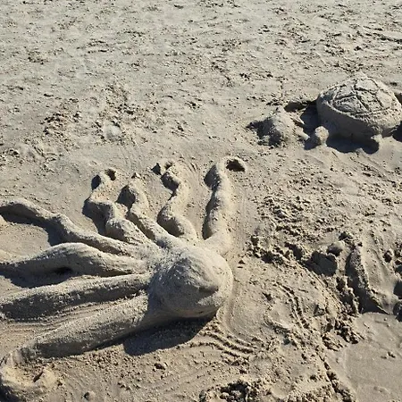 Pearl Grace Bay * 로고보